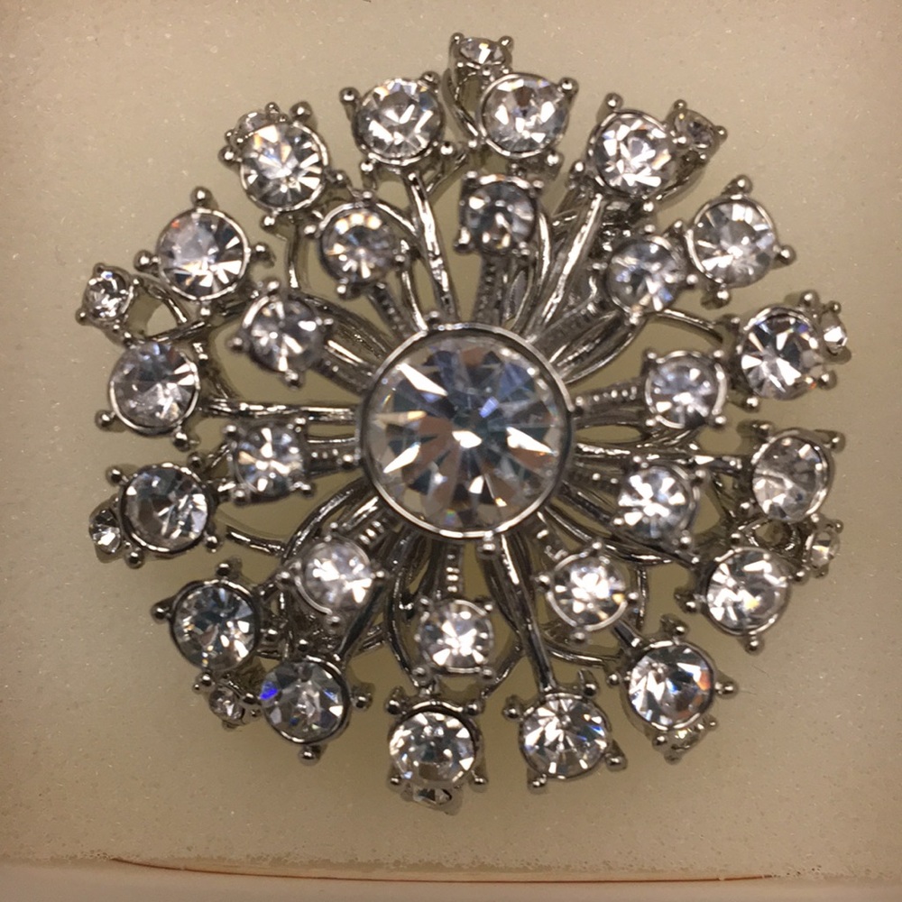 Stella & Dot - Vintage Starburst Broach
